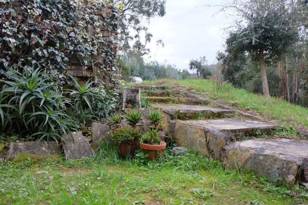 Casa Da Ruiva Villa Serra Exteriör bild